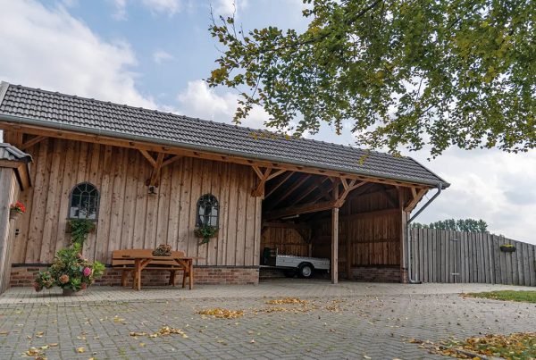 Remise Benno Typ 3 Jetzt online – Bild 3